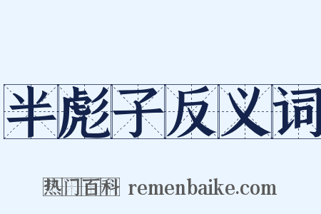 半彪子反义词是什么意思的图片